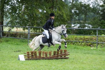 Bild 340 - Pony Akademie Turnier